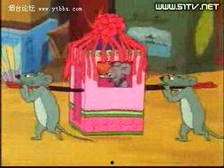 国产动画视频内容,国产动画中的青春梦想之旅