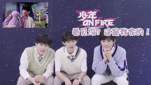 国产剧情文轩探花视频,揭秘古代才子传奇人生