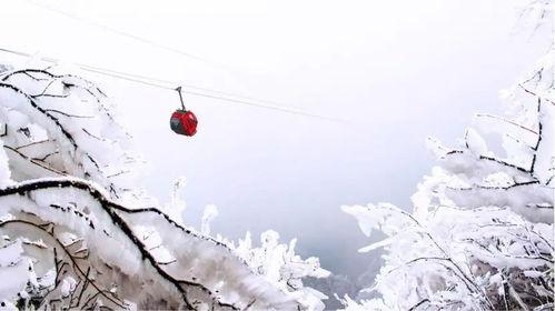 国产动漫下雪视频,国产动漫中的冬日童话画卷