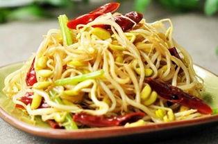 国产网红豆芽视频久久,国产短视频的崛起与魅力