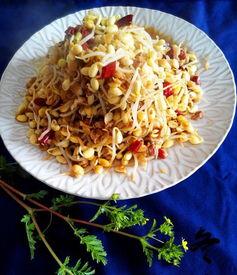 国产网红豆芽视频久久,国产短视频的崛起与魅力