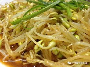 国产网红豆芽视频久久,国产短视频的崛起与魅力