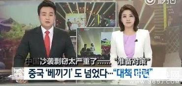 欧美抄袭国产综艺视频,揭秘国产综艺的全球影响力