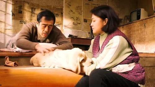 看哭人的国产催泪视频,国产催泪视频触动灵魂的瞬间