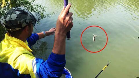 测评国产鱿鱼竿视频,性能卓越，性价比高