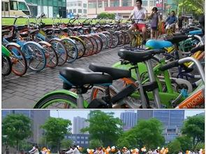 拍车视频素材免费国产,拍车视频素材免费分享，展现国产汽车风采