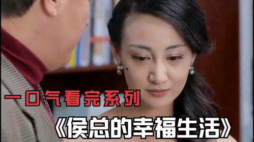 国产电视剧全剧解说视频