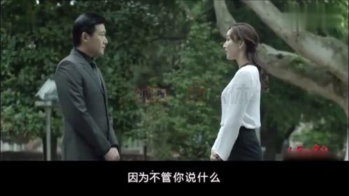 好看国产剧解说视频大全