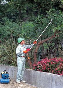 国产园艺剪枝视频,国产园艺剪枝视频教程解析