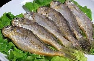 黄鱼视频国产在线欧美,国产在线欧美影视盛宴