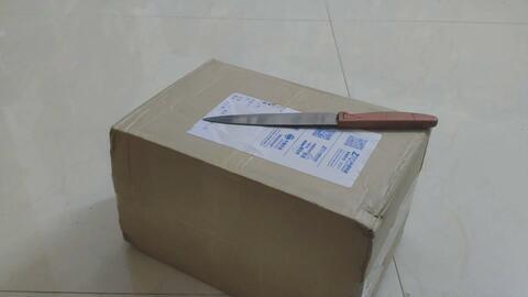 国产金丝熊开箱视频大全,萌宠魅力一网打尽