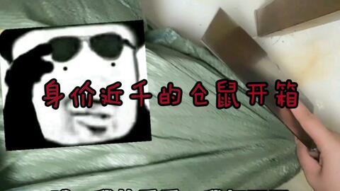 国产金丝熊开箱视频大全,萌宠魅力一网打尽