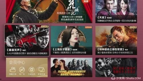 国产在线电影视频,光影交织，情感共鸣的视听盛宴