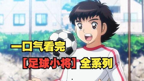 国产动画杂谈解说视频下载