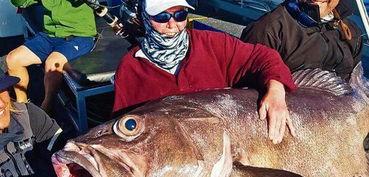 手机在线国产青鱼视频,国产青鱼视频带你领略水乡风情