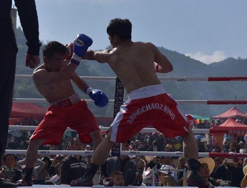 国产拳击影视在线观看视频,国产拳击影视盛宴在线放送