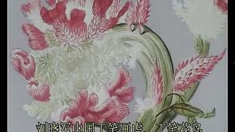 国产花鸟动画视频大全,国产花鸟动画视频大全赏析