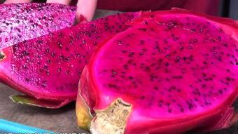 国产火龙果保存方法视频,国产火龙果保存方法视频揭秘