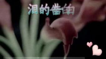 国产3p宾馆对白视频,一场禁忌的欲望演绎