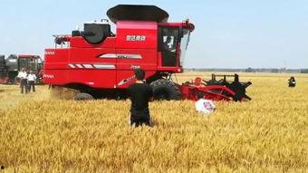 国产轮式收割机视频