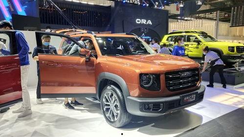 国产车最燃爆的视频