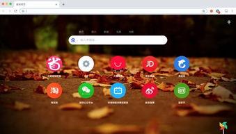 国国产天天视频,打造本土短视频新生态