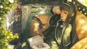 国产免费调教视频圣水,圣水背后的神秘力量