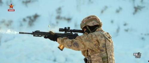国产步枪实战射击视频大全,全方位展示武器性能与实战技巧