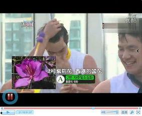 视频高清内谢国产同性,同性题材的细腻呈现与情感共鸣