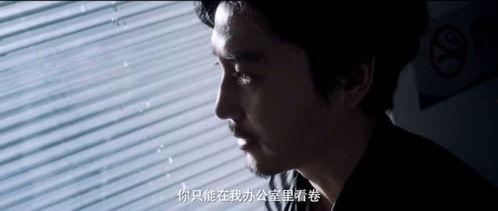 国产对白一级视频,沉浸式体验本土文化魅力