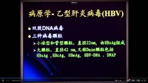 国产免费视频资源