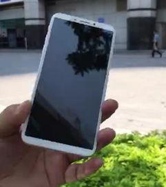 国产苹果8视频下载