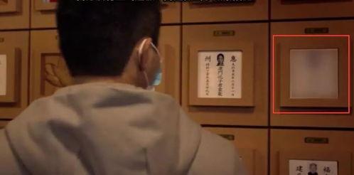 无国产冒白浆视频图片,视频图片揭示惊人内幕  第1张