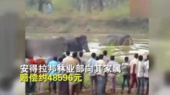 china国产踩踏视频大全,中国国产踩踏事件视频集锦回顾  第3张