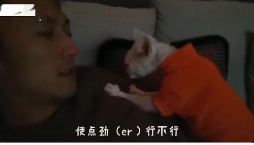 国产满嘴射在线视频,揭秘网络热门视频背后的故事  第2张