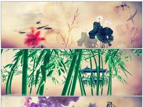 国产舞蹈中国风视频  第1张