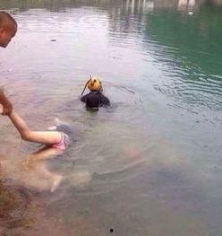 国产剧女生溺亡视频,国产剧女生溺亡事件引发社会关注