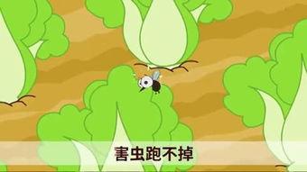 国产小青蛙视频哪里看,全网热门，观看指南汇总  第2张